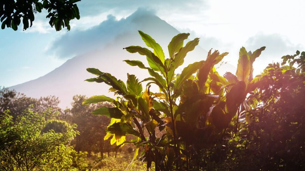 فوائد القيام ببرنامج الدراسة في الخارج في عطلة الربيع