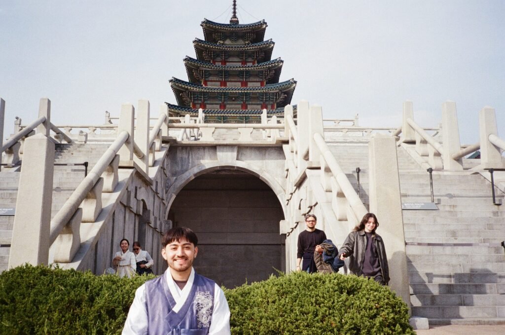 سابي فصل الربيع في كوريا الجنوبية