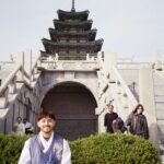 سابي فصل الربيع في كوريا الجنوبية