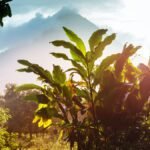 تعرف على طلاب الجامعات الذين درسوا في الخارج في كوستاريكا