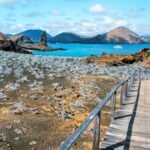 هل يمكنني القيام ببرنامج الدراسة في الخارج في أمريكا اللاتينية؟