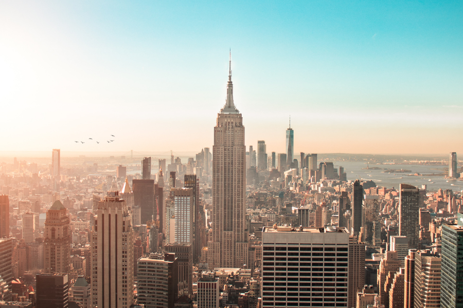 تعرف على 3 أشخاص قاموا بالتدريب في مدينة نيويورك