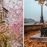 هل يجب أن أدرس في الخارج خلال فصل الخريف أو الربيع؟