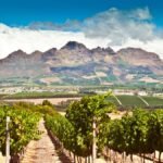 تعرف على طلاب الجامعات الذين درسوا في الخارج في جنوب إفريقيا