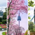 أفضل الوجهات العالمية لرؤية سحر الربيع ينبض بالحياة