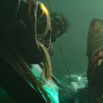 الأشياء التي ربما فاتتك في Shudder في يناير