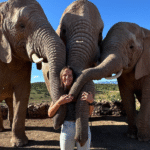 بريانا فصل الخريف في جنوب أفريقيا