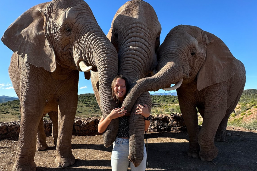 بريانا فصل الخريف في جنوب أفريقيا