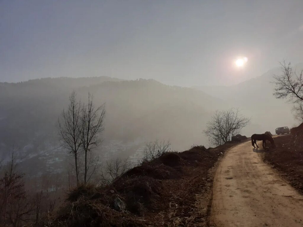 سبر الحدود – العاقل