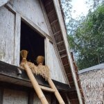 أرز حياة أورانغ – العاقل