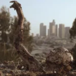 عام جديد، مخاوف جديدة: أفلام الرعب لموسم الحل