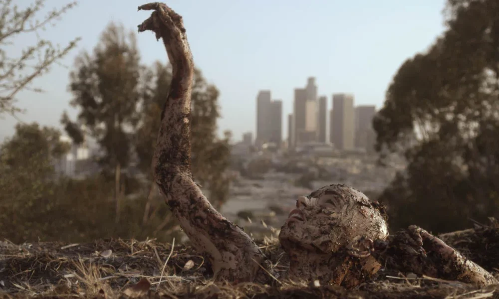 عام جديد، مخاوف جديدة: أفلام الرعب لموسم الحل