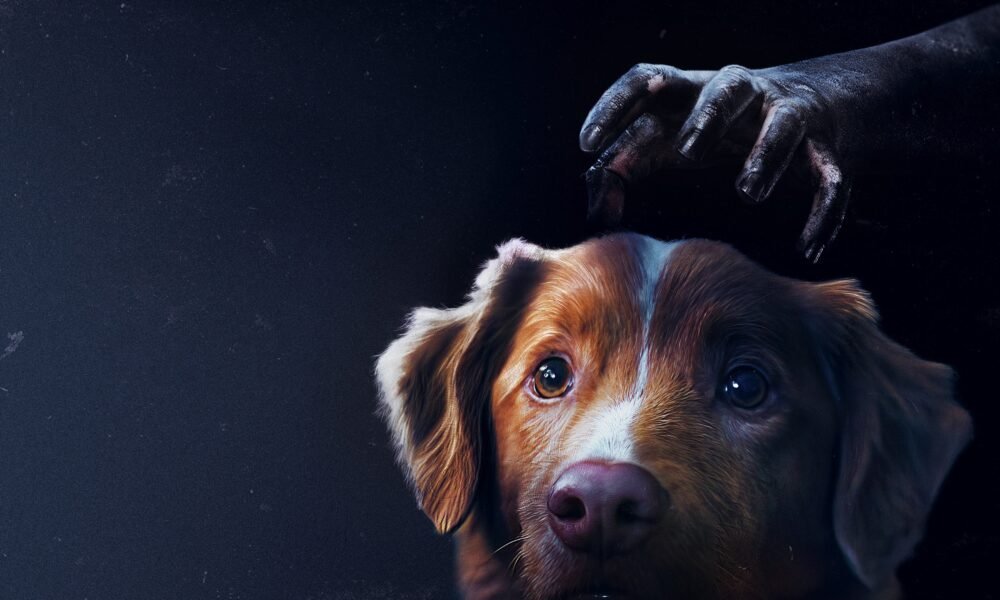 إذا كنت تحب فيلم “Good Boy”، فشاهد خمسة أفلام رعب للكلاب