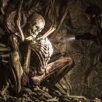 لقد توقف الواقع ببطء عن المنطق في أفلام الرعب هذه